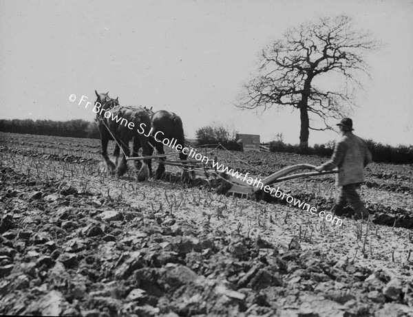 THE PLOUGH AT WORK